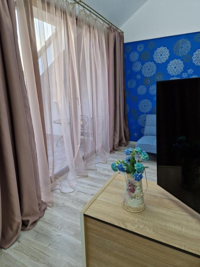Ori Blue Studio Malul Muresului Arad Bagian luar foto